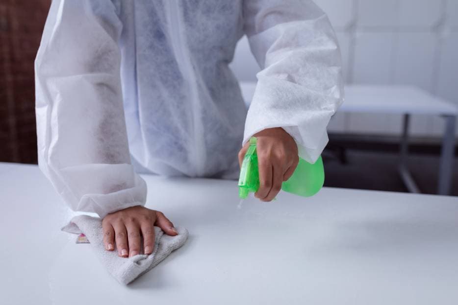 Tips to prevent pests in your company