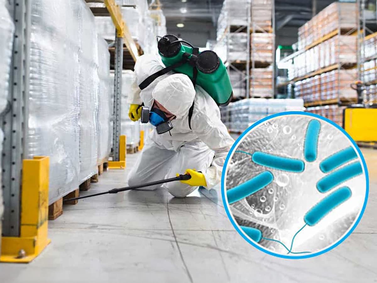 Cleaning as Disease Prevention: The Role of Disinfectants